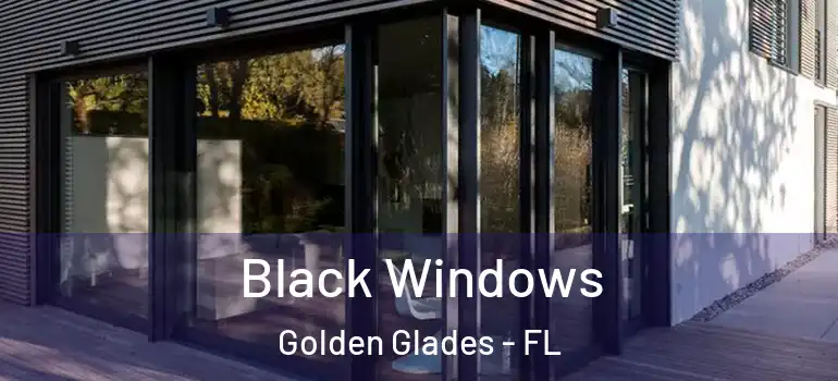  Black Windows Golden Glades - FL