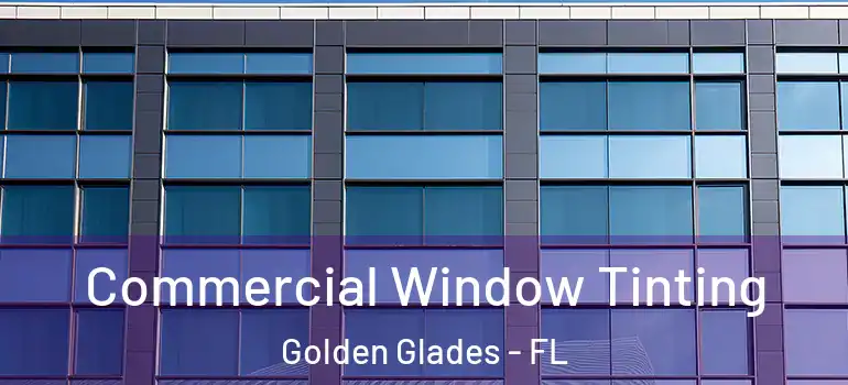  Commercial Window Tinting Golden Glades - FL