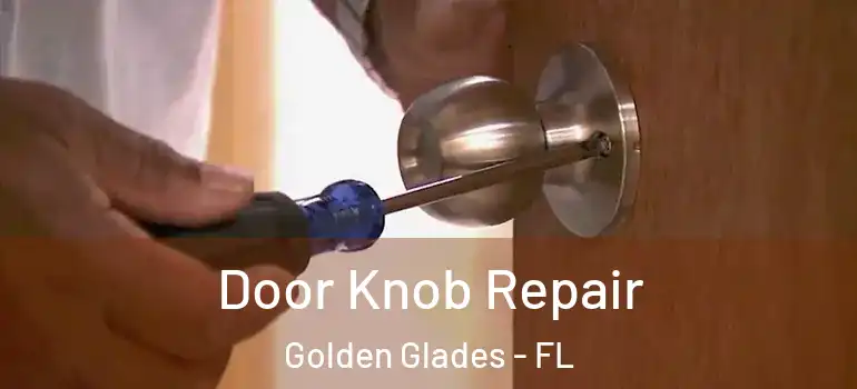  Door Knob Repair Golden Glades - FL