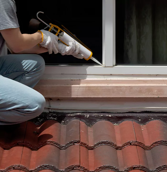 Roof Window Services in Golden Glades, Florida