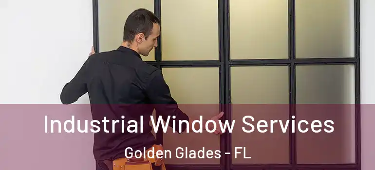  Industrial Window Services Golden Glades - FL