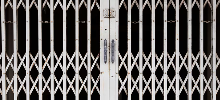 Steel Line Garage Door Repairs in Golden Glades, FL