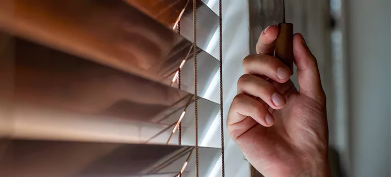 Double Roller Blinds in Golden Glades, FL