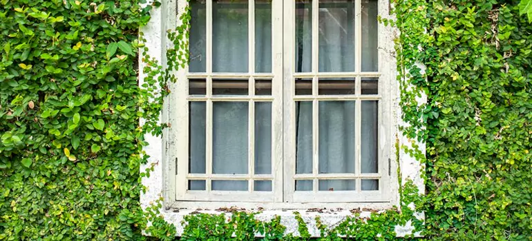 Garden Window Repair Near Me in Golden Glades, FL