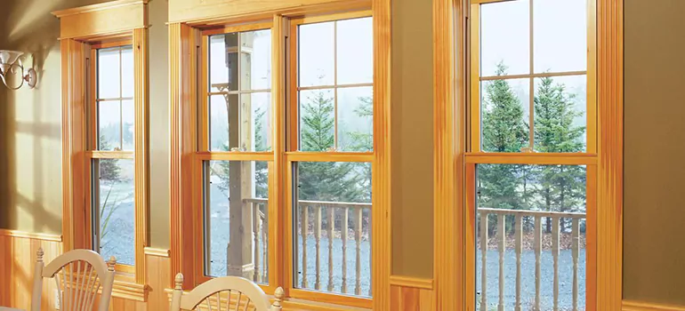 Government Incentives For Replacement Windows in Golden Glades, FL