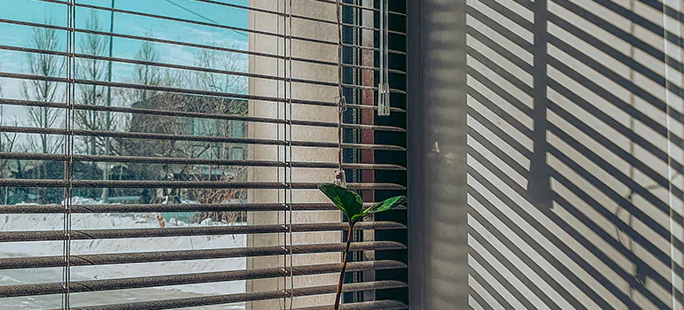 Commercial Window Blinds in Golden Glades, FL
