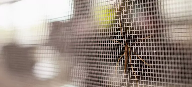 Repair Mosquito Mesh For Windows in Golden Glades, FL