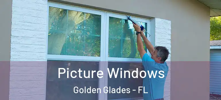  Picture Windows Golden Glades - FL