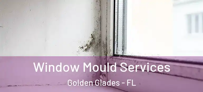  Window Mould Services Golden Glades - FL